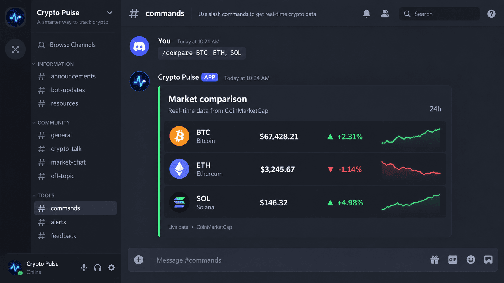 Crypto Pulse — Discord Bot project preview
